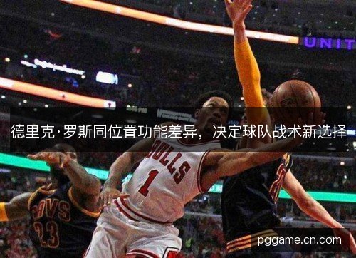 德里克·罗斯同位置功能差异，决定球队战术新选择